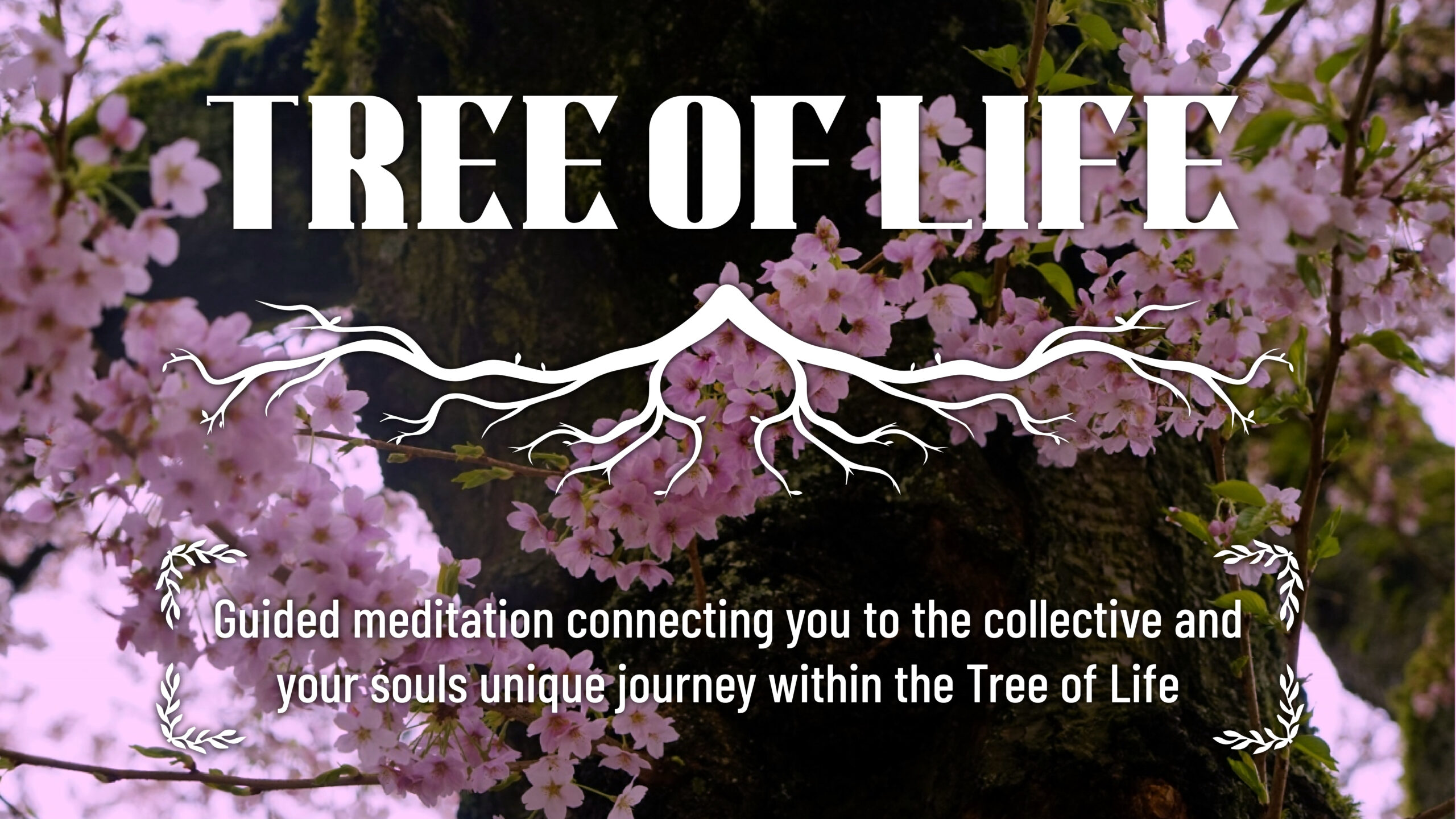 Tree of Life Meditation